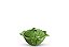 Sopeira couve verde P - Imagem 1