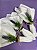 Porta Guardanapo Lavanda - Imagem 1