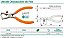 ALICATE DESENCAPADOR FIOS 6" BELZER 219013BBR - 21350I - Imagem 2