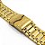 Pulseira para Relógio Compatível com Invicta Reserve Bolt Zeus Magnum 25210 Dourado - Imagem 6