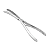 Abridor De Gesso Wolf 23 CM - ABC Instrumentos - Imagem 1