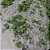 Renda Laiza 3D 2405 Verde Pistache - Imagem 2