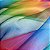 Organza Arco-Iris 453 - Imagem 2