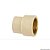 LUVA TRANS FF SUPER CPVC DN28X1 CB AMANCO - Imagem 1
