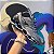 MIZUNO WAVE PROPHECY 8 - PRATA - Imagem 1