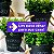 Balde De Vaso Com Alça E Plantinha Atificial Decorativa Plantas Artificiais Eucalipto - Imagem 7