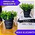 Balde De Vaso Com Alça E Plantinha Atificial Decorativa Plantas Artificiais Eucalipto - Imagem 8