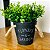 Balde De Vaso Com Alça E Plantinha Atificial Decorativa Plantas Artificiais Eucalipto - Imagem 2
