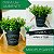 Balde De Vaso Com Alça E Plantinha Atificial Decorativa Plantas Artificiais Eucalipto - Imagem 4