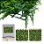 Placa De Samambaia Cheia 40x60 Jardim Vertical Artificial - Imagem 5
