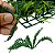 Placa De Samambaia Cheia 40x60 Jardim Vertical Artificial - Imagem 6