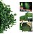 Placa Artificial Buchinho Decoração Painel Jardim Vertical Parede - Imagem 4