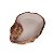 Bebedouro - Tropical (Tam. GG) | Terrestre Pets - Imagem 1
