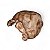 Toca - Tropical (Tam. Jumbo) | Terrestre Pets - Imagem 2