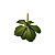 Planta Artificial p/ Terrário - 002 - Imagem 2