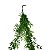 Planta Artificial p/ Terrário (Cascata) - 002 - Imagem 3