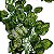 Planta Artificial p/ Terrário (Cascata) - 003 - Imagem 3