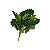 Planta Artificial p/ Terrário - 007 - Imagem 1