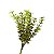 Planta Artificial p/ Terrário - 010 - Imagem 2