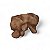 Toca - Tropical (Tam. G) | Terrestre Pets - Imagem 1