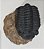 Fóssil de Trilobita (RÉPLICA) - Imagem 7