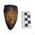 Fóssil de Dente de Purussaurus brasiliensis (RÉPLICA) - Imagem 2