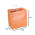 Sacola de Papel Kraft - GG - 31 x 20 x 31 cm - Imagem 1