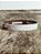 Pulseira Country Texas Farm Silicone Bandeira Bege Marrom - Imagem 1