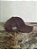 Boné Country Texas Farm Original Logo Camuflado Marrom - Imagem 3