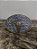 Fivela Long Horn Redonda Dourada Master Country Cowboy - Imagem 1