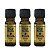 Kit Rugol Wind Mystery Óleo Almiscar Selvagem 5ml C/3 - Imagem 1