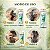 Kit Pantene Pro-V Bambu: Shampoo 400ml e Condicionador 175ml - Imagem 7