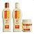 Kit Nutritivo Bio Extratus Mel Chia e Colágeno Com 3 - Imagem 1