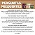 Kit Bio Extratus Edição Limitada Máscaras Cronograma Capilar: Shitake 250g, Umectante 250g e Antiqueda 230g - Imagem 9