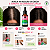 Tônico Noturno Lola Densidade 3% Baicapil 25ml - Imagem 4