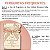 Deo Colônia Desodorante Giovanna Baby Sweet Peach 50ml - Imagem 5