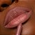 Lápis Para Contorno Labial Dailus Apontável Taupe - Imagem 3