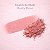 Blush Compacto Ruby Rose Silk Skin Natural Flush Dusty Rose Hb-t1001-5 - Imagem 3