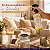 Odorizante De Ambientes e Tecidos Coala Home Ameixa Dourada 260ml - Imagem 5