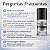 Base Titânio Com Formol Impala Fortalecedor e Endurecedor De Unhas 8ml - Imagem 6