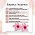 Kit Piranha Flor 3,5cm x 3,5cm Com 2 Unidades C50415 - Imagem 6