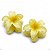 Kit Piranha Flor 3,5cm x 3,5cm Com 2 Unidades C50415 - Imagem 12