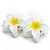 Kit Piranha Flor 3,5cm x 3,5cm Com 2 Unidades C50415 - Imagem 11
