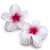 Kit Piranha Flor 3,5cm x 3,5cm Com 2 Unidades C50415 - Imagem 10