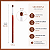 Pincel Brown Line Klass Vough Sombra/Acbamento 12 - Imagem 4