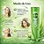 Shampoo Seda By Rayza Babosa-Prebiotic Força e Crescimento 300ml - Imagem 5