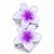 Kit Mini Piranha De Cabelo Flor 2,5cm x 2,5cm Com 2 Unidades - Imagem 11