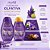 Kit Muriel Lavanda Com Colágeno: Loção Deo Hidratante e Óleo De Banho 230ml - Imagem 3