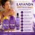 Kit Muriel Completo Lavanda com Colágeno: Óleo de Banho 230ml, Loção Hidratante Corporal e Body Splash 200ml - Imagem 2