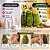 Kit Completo Muriel Pistache Com Colágeno: Óleo Natural, Loção Deo Corporal 200ml e Óleo de Banho 230ml - Imagem 3